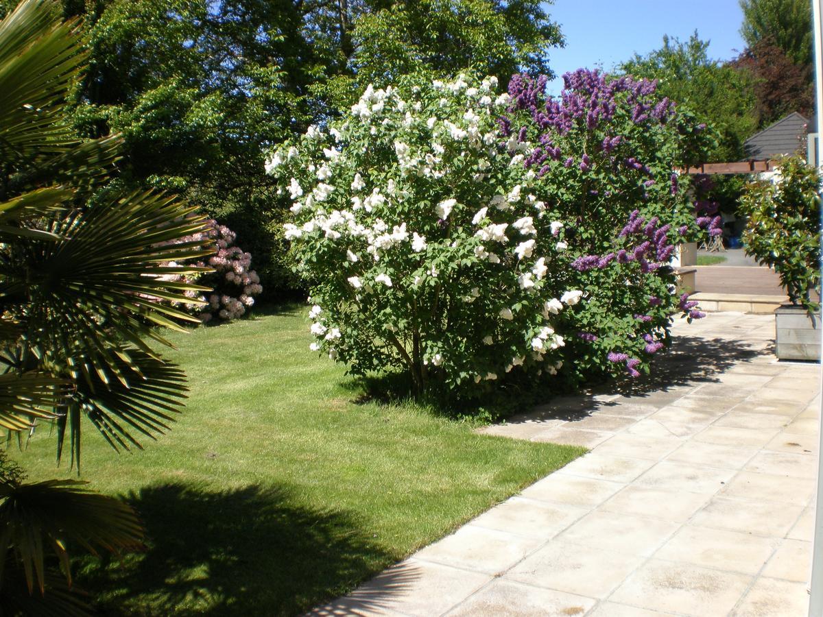 Shamrock Garden B&B Airport Christchurch Zewnętrze zdjęcie