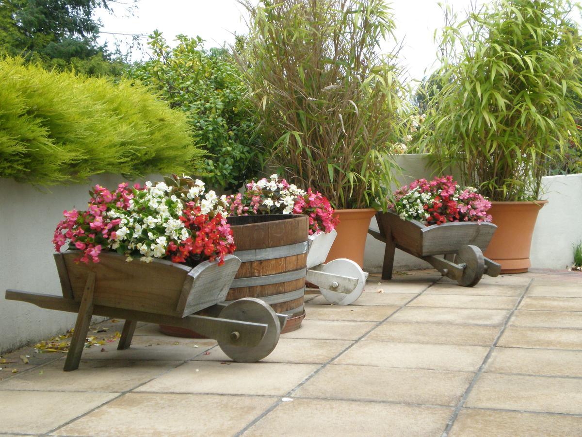 Shamrock Garden B&B Airport Christchurch Zewnętrze zdjęcie