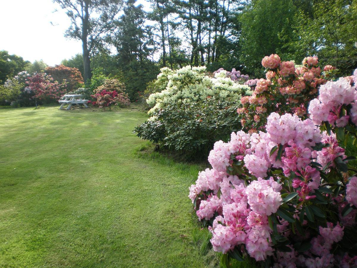 Shamrock Garden B&B Airport Christchurch Zewnętrze zdjęcie