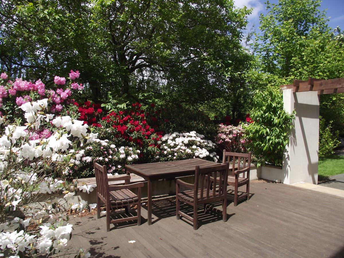 Shamrock Garden B&B Airport Christchurch Zewnętrze zdjęcie